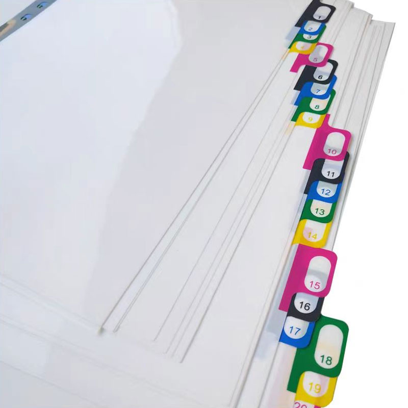 5/10/20 lembar/Lot A4 pembagi  - Tab Divider A4 ulasan dan harga