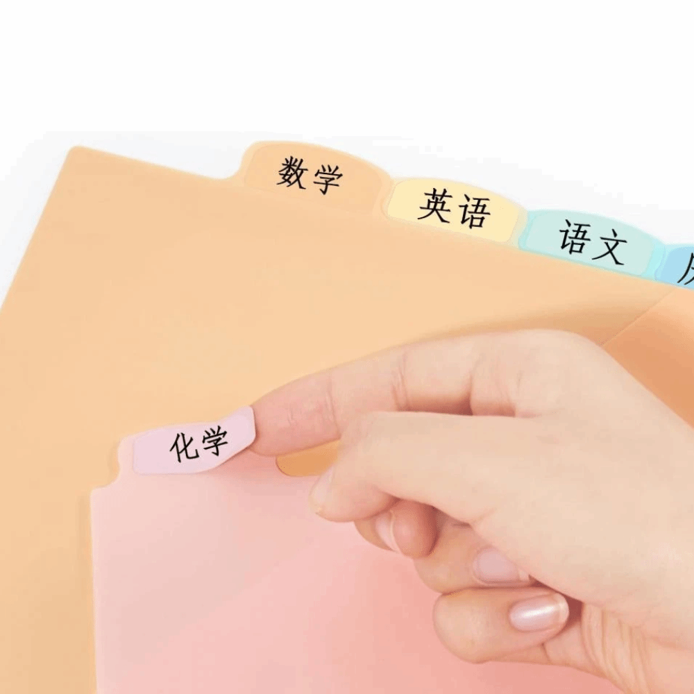 8 buah Pembatas Binder A4 Past - Tab Divider A4 ulasan dan harga